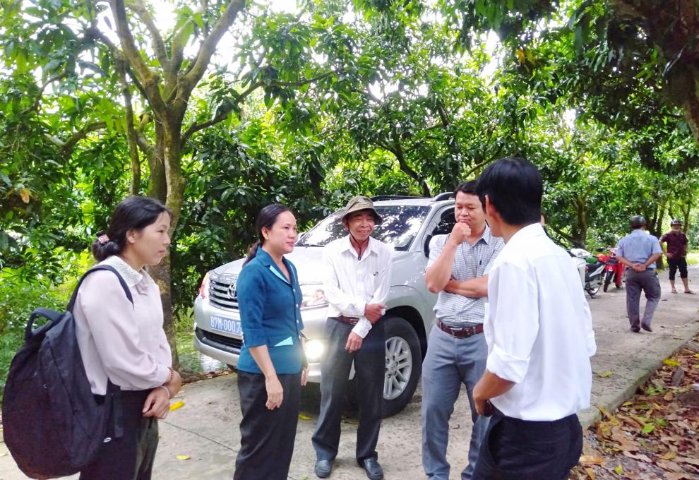 Nông nghiệp Tấn Mỹ có nhiều khởi sắc 