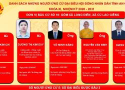Danh sách những người ứng cử đại biều HĐND tỉnh An Giang, khóa XI, nhiệm