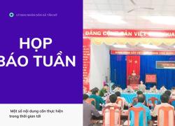 Họp báo tuần
